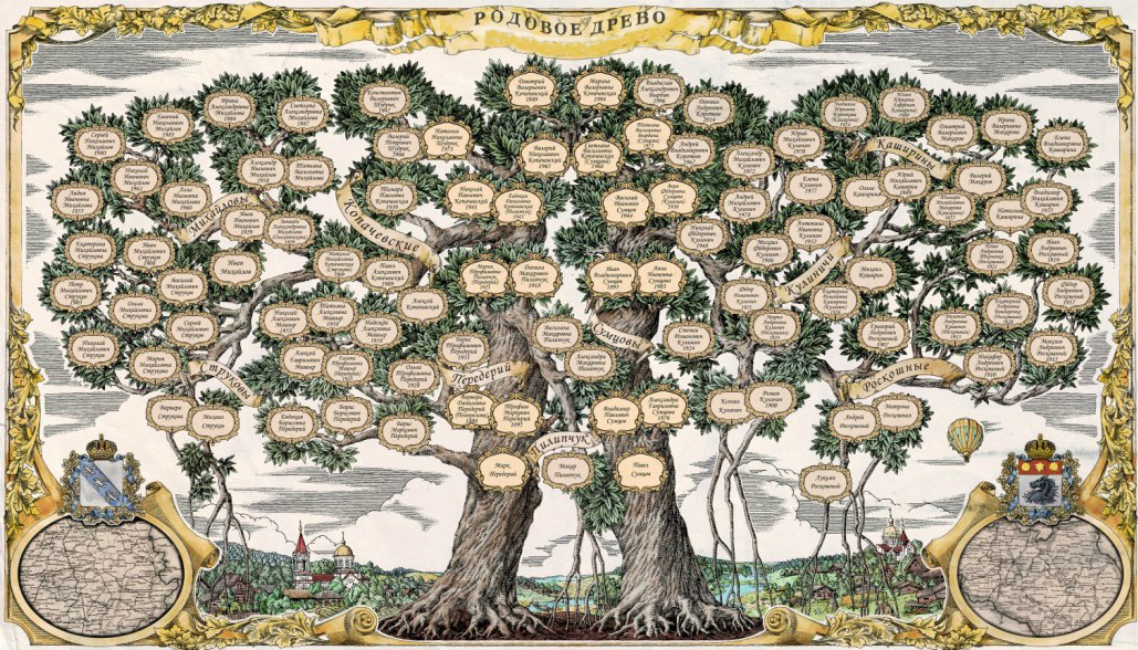 Родословное дерево семьи: Шаблон картинки на которых можно писать