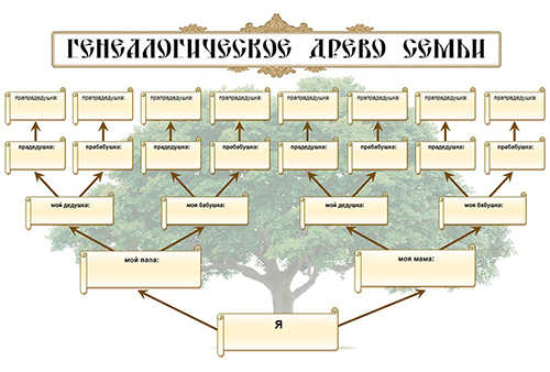 схема генеалогического древа