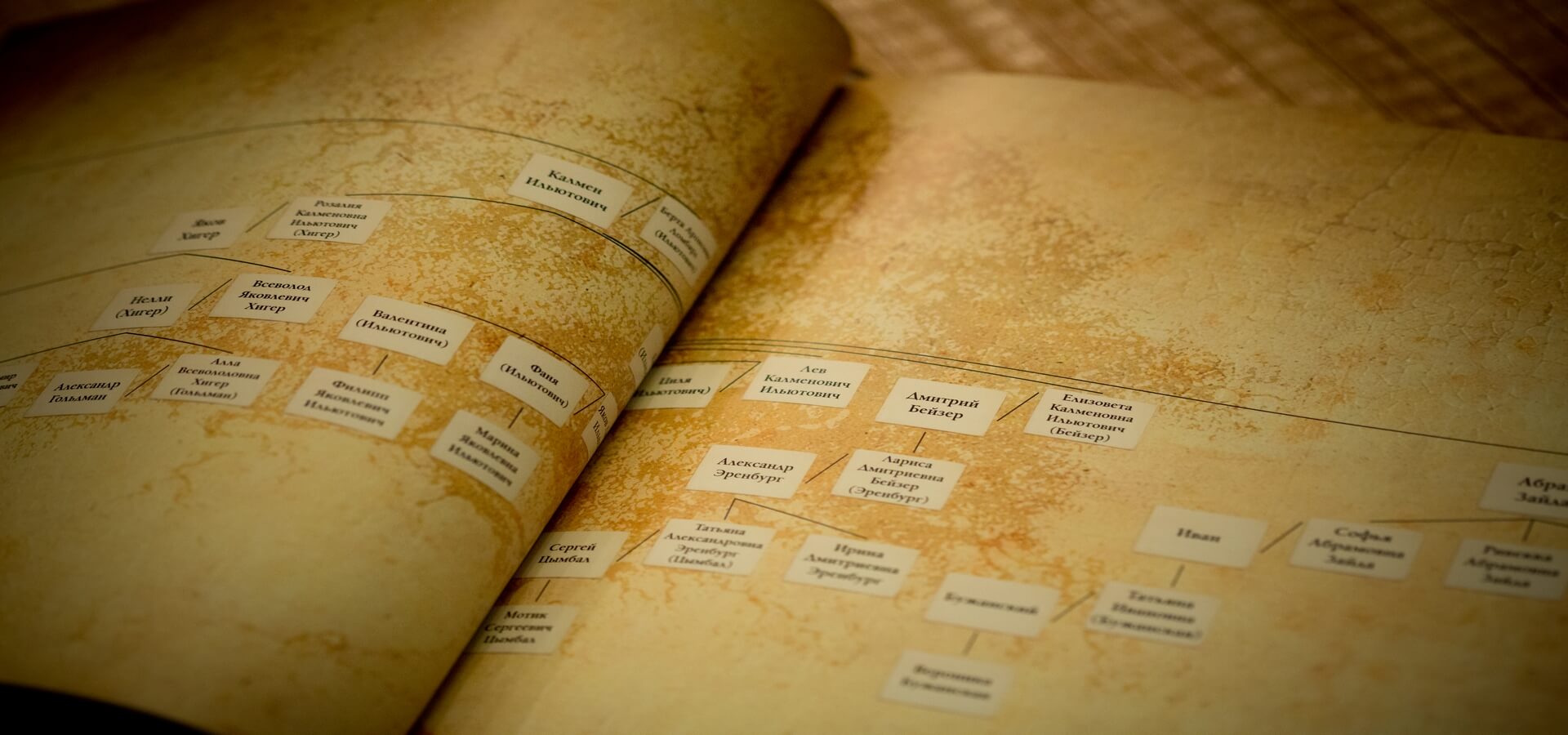генеалогическая карта в родословной книге